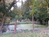 kartoffelfeuer_059
