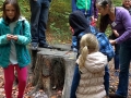 1810_freudenberg_2017_45