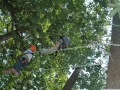 Ferienspiele2009_65