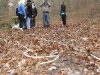 SAM_0501