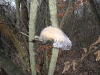 SAM_0520