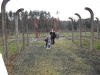 SAM_0526