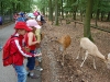 wildpark016