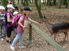 wildpark021