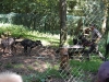 wildpark055