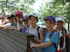 wildpark077