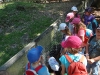 wildpark078
