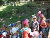 wildpark079