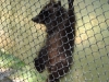 wildpark080