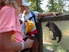 wildpark081