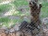 wildpark085