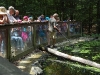 wildpark091