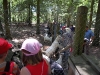 wildpark096