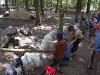 wildpark097