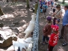 wildpark098