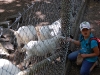 wildpark100