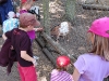 wildpark102