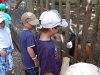 wildpark106