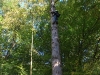 DSCF5790