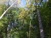 DSCF5792