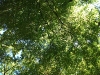 DSCF5814