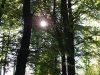 DSCF5837