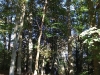 DSCF5842