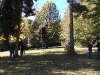 DSCF5850