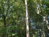 DSCF5883