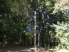 DSCF5888
