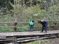 HFP_2014_schotten_30