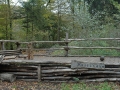 HFP_2014_schotten_31