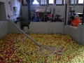apfelsaft_kuchen_21