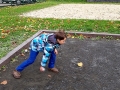 HFP_2014_bouleS5_05