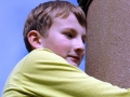 HFP_2014_fg2_31