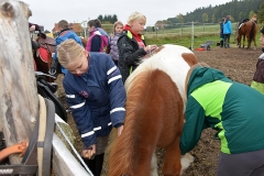 24.10.2015 Herbstferienprogramm - Reiten im Herbstwald