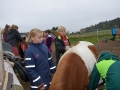 reiten_hfp15_06