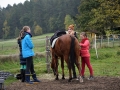 reiten_hfp15_08