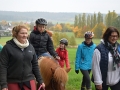 reiten_hfp15_20