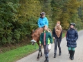 reiten_hfp15_26