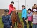 reiten_hfp15_39