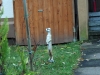gvkfe_1334