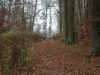gvkfe_194