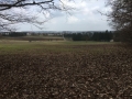 2603_waldtage_037