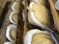 2604brotbacken_025