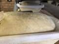 2604brotbacken_026