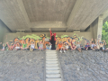 CHIA7888