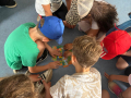 WUAT2681