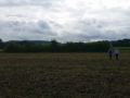 CWE_2014_23