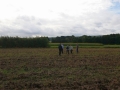 CWE_2014_24